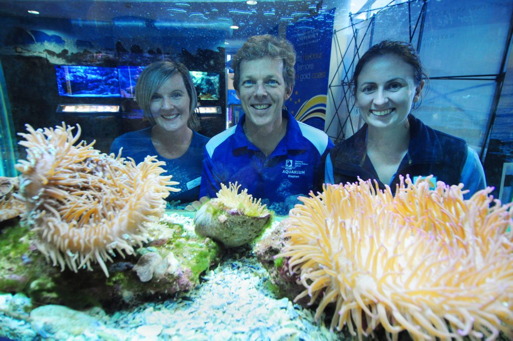 Marine life will be in the spotlight this week for National Science Week. Marine life will be in the spotlight this week for National Science Week.